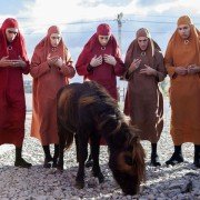 Jacky au royaume des filles - galeria zdjęć - filmweb