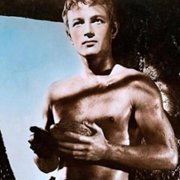 Helen of Troy - galeria zdjęć - filmweb