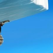Ice Age 2: The Meltdown - galeria zdjęć - filmweb
