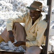Honeydripper - galeria zdjęć - filmweb