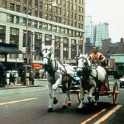 Hercules in New York - galeria zdjęć - filmweb