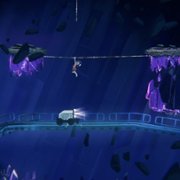 The Cub - galeria zdjęć - filmweb