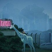 The Cub - galeria zdjęć - filmweb