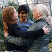 Animal - galeria zdjęć - filmweb