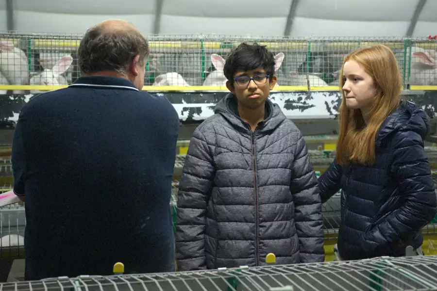 Animal - galeria zdjęć - filmweb