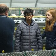 Animal - galeria zdjęć - filmweb