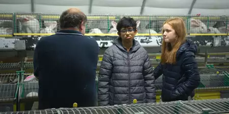 Animal - galeria zdjęć - filmweb