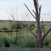 Schastye moe - galeria zdjęć - filmweb