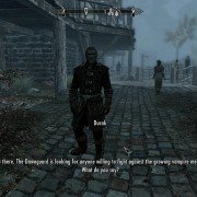 The Elder Scrolls V: Skyrim - Dawnguard - galeria zdjęć - filmweb