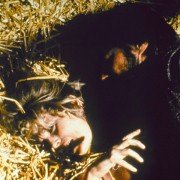 Mściciel - galeria zdjęć - filmweb