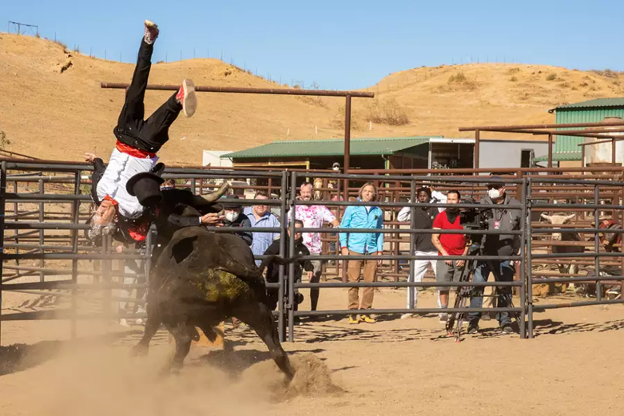Jackass Forever - galeria zdjęć - filmweb