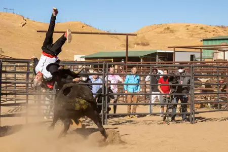 Jackass Forever - galeria zdjęć - filmweb