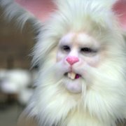 Sexy Beasts - galeria zdjęć - filmweb