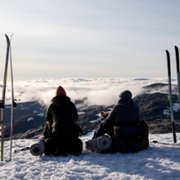Red Dot - galeria zdjęć - filmweb