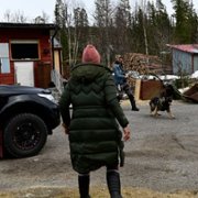 Red Dot - galeria zdjęć - filmweb