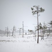 Red Dot - galeria zdjęć - filmweb