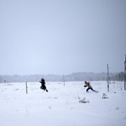 Red Dot - galeria zdjęć - filmweb