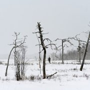 Red Dot - galeria zdjęć - filmweb