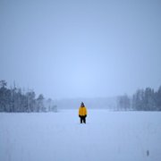 Red Dot - galeria zdjęć - filmweb