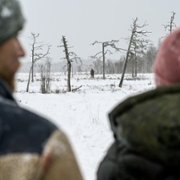 Red Dot - galeria zdjęć - filmweb