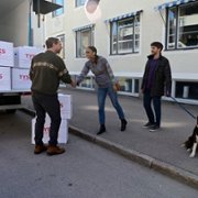 Red Dot - galeria zdjęć - filmweb