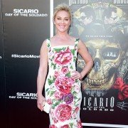 Sicario: Day of the Soldado - galeria zdjęć - filmweb