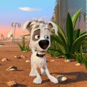 Belka i Strelka: Lunnye priklyucheniya - galeria zdjęć - filmweb