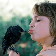 Kauwboy - galeria zdjęć - filmweb