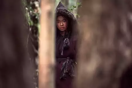 Kingdom: Ashin of the North - galeria zdjęć - filmweb