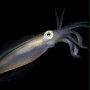Pod taflą oceanu 3D - galeria zdjęć