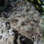 Pod taflą oceanu 3D - galeria zdjęć