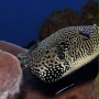 Pod taflą oceanu 3D - galeria zdjęć