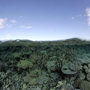 Under the Sea 3D - galeria zdjęć - filmweb