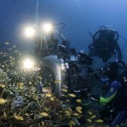 Under the Sea 3D - galeria zdjęć - filmweb