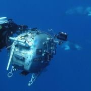 Under the Sea 3D - galeria zdjęć - filmweb