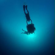 Under the Sea 3D - galeria zdjęć - filmweb