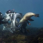 Under the Sea 3D - galeria zdjęć - filmweb