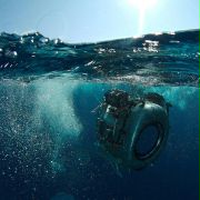 Under the Sea 3D - galeria zdjęć - filmweb