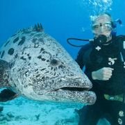 Under the Sea 3D - galeria zdjęć - filmweb