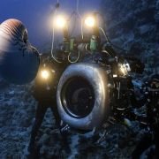 Under the Sea 3D - galeria zdjęć - filmweb