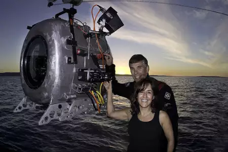 Pod taflą oceanu 3D - galeria zdjęć - filmweb