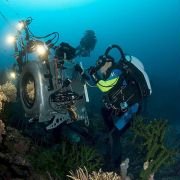 Under the Sea 3D - galeria zdjęć - filmweb