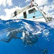 Under the Sea 3D - galeria zdjęć - filmweb
