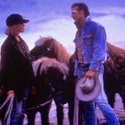 Swój chłopak - galeria zdjęć - filmweb