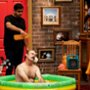 Kto się śmieje ostatni Australia - galeria zdjęć