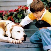 Daleko od domu 2: Zagubieni w San Francisco - galeria zdjęć - filmweb