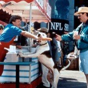 Daleko od domu 2: Zagubieni w San Francisco - galeria zdjęć - filmweb