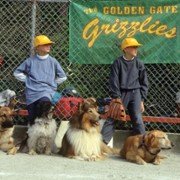 Homeward Bound II: Lost in San Francisco - galeria zdjęć - filmweb