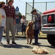 Daleko od domu 2: Zagubieni w San Francisco - galeria zdjęć - filmweb