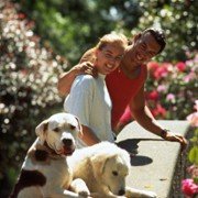 Homeward Bound II: Lost in San Francisco - galeria zdjęć - filmweb